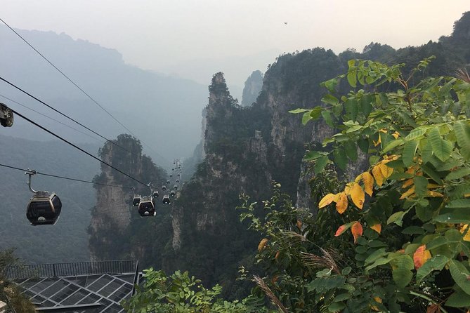 1-Day Private Tour to ZJJ National Forest Park & Avatar Mountain - Price and entrance-tickets: the real math
