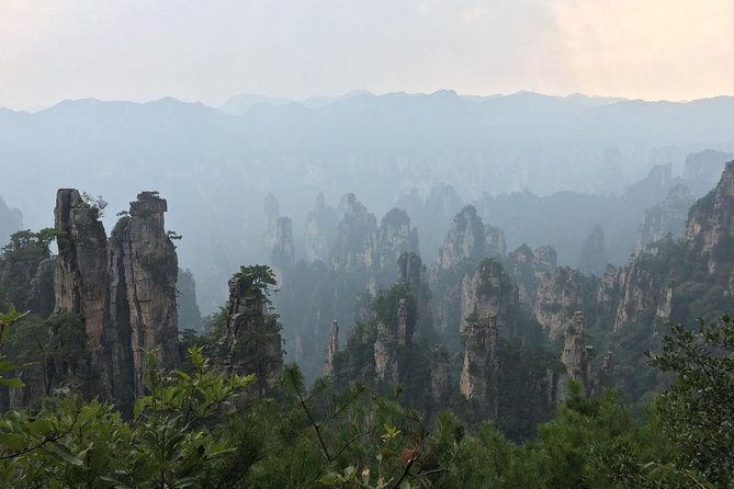 1-Day Private Tour to ZJJ National Forest Park & Avatar Mountain - Your guide matters: what the best ones do