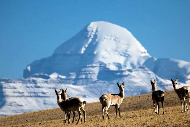 13 Day Lhasa, Mt. Everest, Mt. Kailash to Kathmandu Adventure - Toward the Everest Base Camp Zone: Rongbuk Sunrise and High-Peak Views