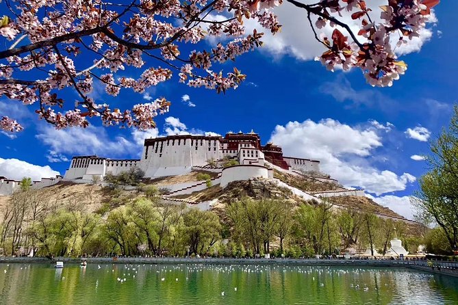 6 Days Central Tibet Culture Small Group Tour - Day 5: Tashilunpo Monastery and the return via Yalong Valley
