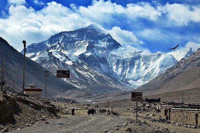 8 Days Lhasa Gyantse Shigatse Mt Everest Group Tour - Day 2 in Lhasa: Drepung Monastery, Tibet Museum, and Norbulingka