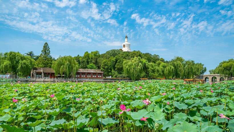 Beijing: Beihai Park Entry Ticket & English PDF Guidebook - Jade Island and the White Dagoba: Your First Big Photo Moment