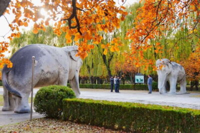 Beijing: Juyongguan Great Wall, Sacred Way & Ming Tombs Trip - Getting picked up in Beijing and staying flexible all day