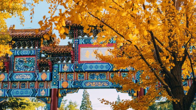 Beijing: Lama Temple (Yonghe Temple) Admission Ticket - Price and Value: Why $10 Feels Like a Fair Deal Here
