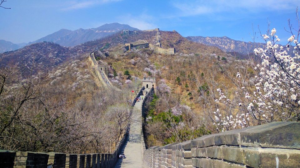 Beijing: Mutianyu Great Wall and Ming Tombs Private Tour - Ming Tombs after the Wall: Sacred Way and the big stone alleys
