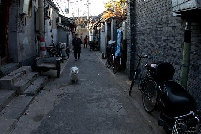 Beijing Old Hutongs Tour by Rickshaw - The home visit: what you’re really seeing