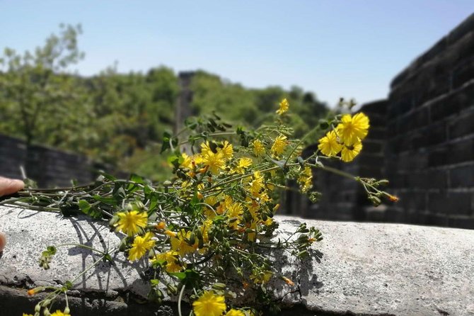 Beijing Private Transfer: Badaling Great Wall with VIP Past Pass - The 6-Hour vs 8-Hour Plan: What You Actually Do All Day