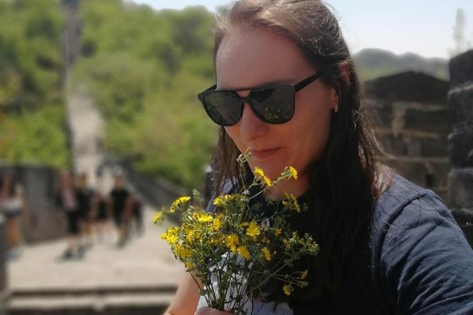 Beijing Private Transfer: Badaling Great Wall with VIP Past Pass - Choosing Your Walk Strategy: Start Early, Ask About Shortcuts