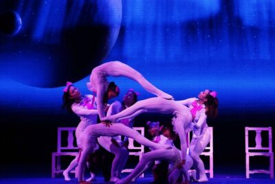 Beijing Roast Duck Banquet and Acrobatics Show with VIP Seats Evening Tour - VIP seats at Chaoyang Theatre: what the acrobatics portion delivers