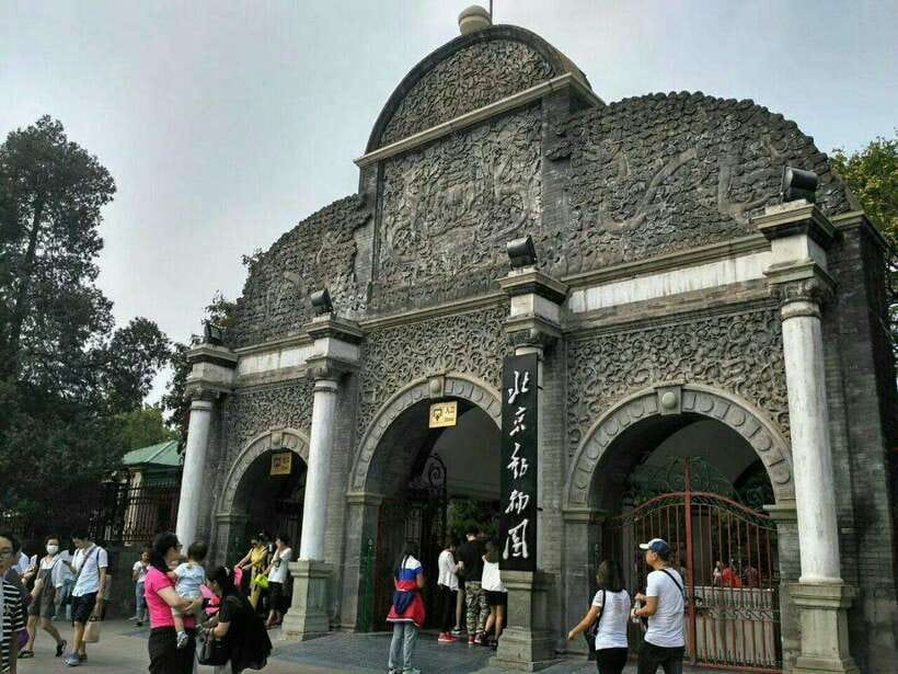 Beijing: The Beijing Zoo Entry Ticket with Pandas - The QR Code Reality Check: Don’t Use the Wrong One
