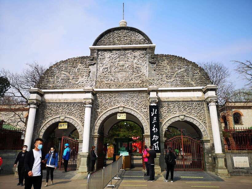 Beijing: The Beijing Zoo Entry Ticket with Pandas - Animal Welfare and Visitor Behavior: What to Watch for Honestly
