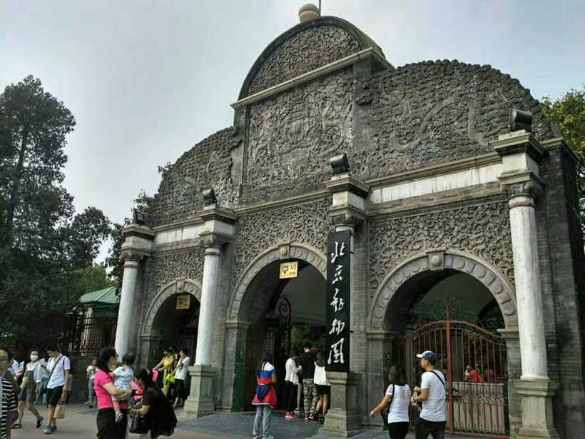 Beijing: The Beijing Zoo Entry Ticket with Pandas - Working With Andy’s Private China Tours: Fast Answers, Clear Directions