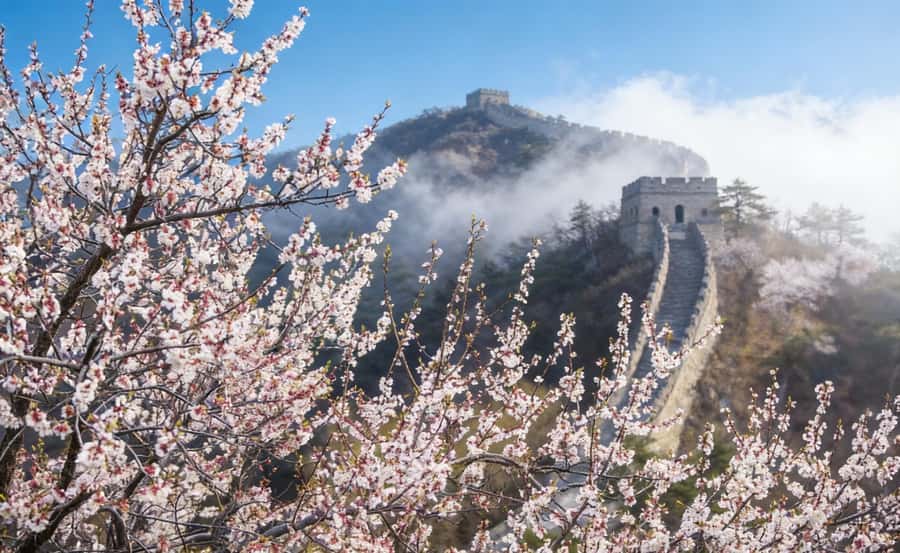 Beijing: Tiananmen, Forbidden City, and Wall Private Tour - Key things that make this tour work
