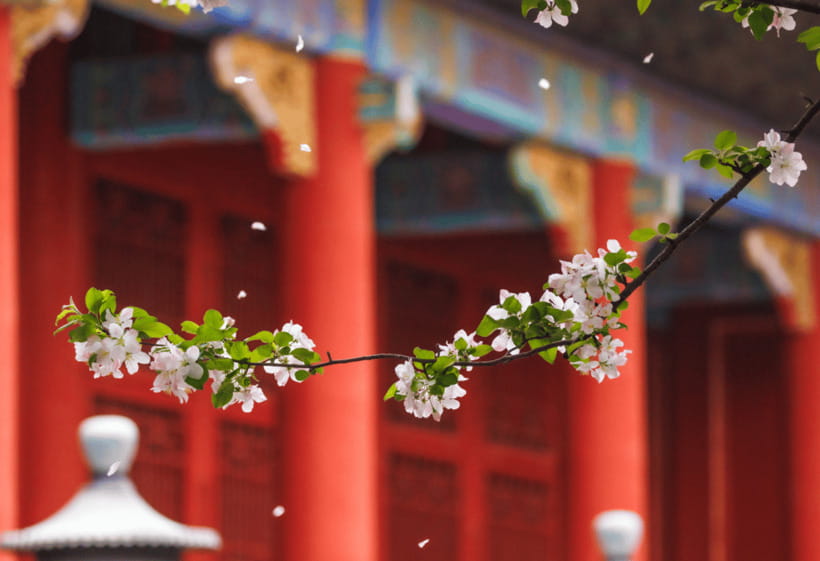 Beijing: Tiananmen Square and Forbidden City Entry Tickets - Great Wall at Mutianyu: when scenic time is worth the extra effort