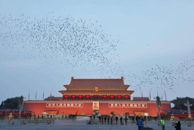Beijing: Tiananmen Square Ticket Fast and Smooth - Registration rules that make or break your entry
