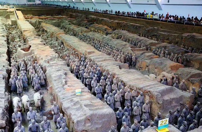 Beijing to Xi'an See Terracotta Warriors with Bullet Train Round Trip Transfer - Xi’an meeting point, lunch timing, and how you use that afternoon