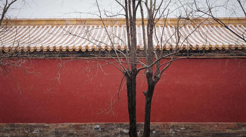 Beijing:Forbidden City & Tian'anmen Square with entry ticket - Guide quality: what you can expect from English-guided groups
