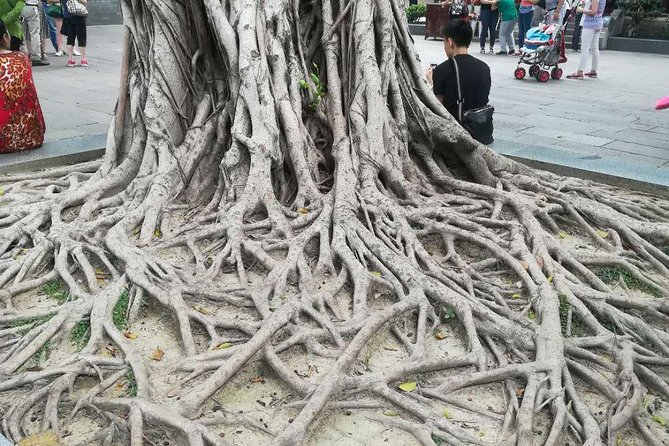 Customised Private Guangzhou City Tour with Flexible Itinerary - Stop 6: Huacheng Square for the skyline version of Guangzhou