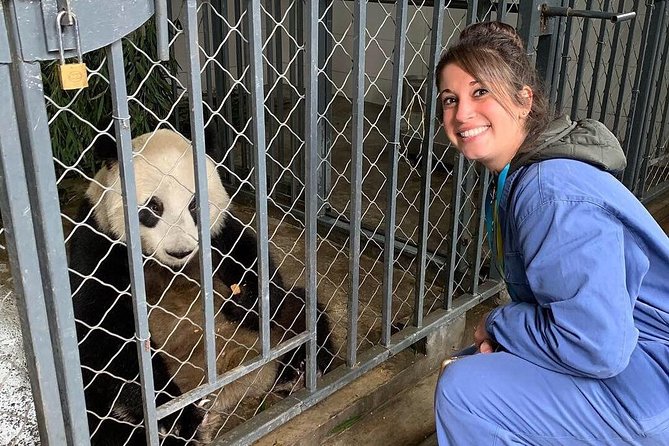 Dujiangyan Panda Volunteering Experience with Lunch - Early Start at Dujiangyan Panda Base: Getting Set Up Fast