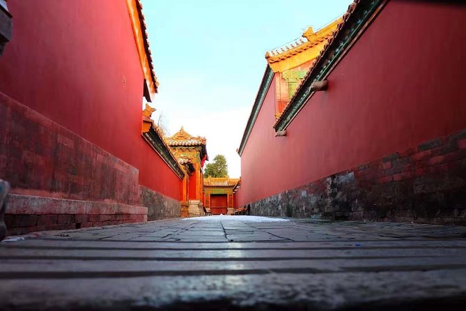 Forbidden City Private Walking Tour with Optional Sights - Tiananmen Square security and the landmarks worth 45 minutes