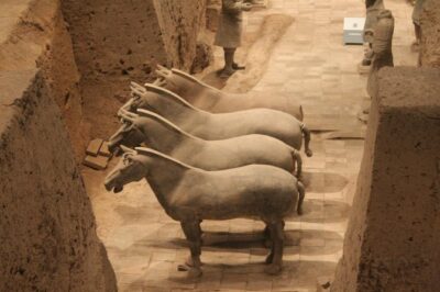 Half-Day Mini Group Xian Tour to Terracotta Warriors Museum - Who this half-day Terracotta Warriors tour suits best
