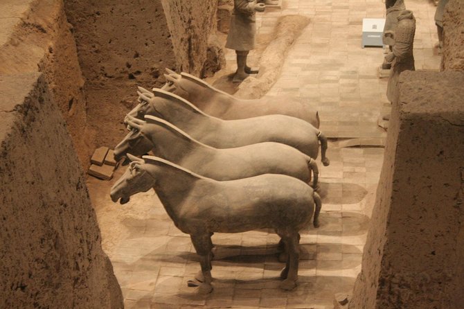 Half-Day Mini Group Xian Tour to Terracotta Warriors Museum - Who this half-day Terracotta Warriors tour suits best