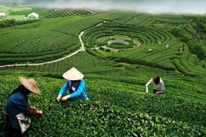 Hangzhou Private Customized Day Trip from Shanghai by Bullet Train - West Lake (Xi Hu): UNESCO scenery with the best kind of guidance