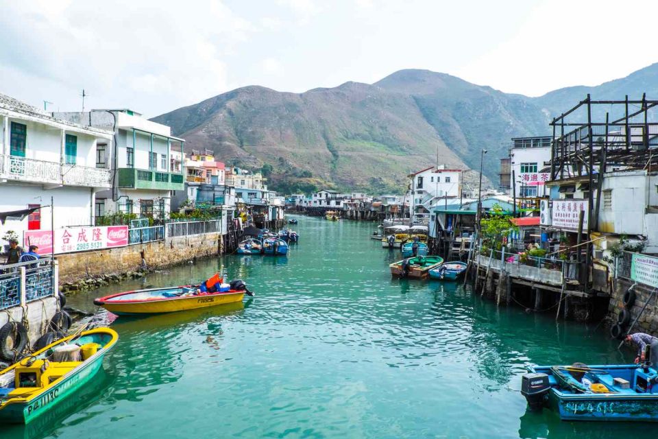 Hong Kong: Dolphin Cruise, Big Buddha & Lantau Island Tour - Dolphin-Watching Cruise: What You Can Control (and What You Can’t)