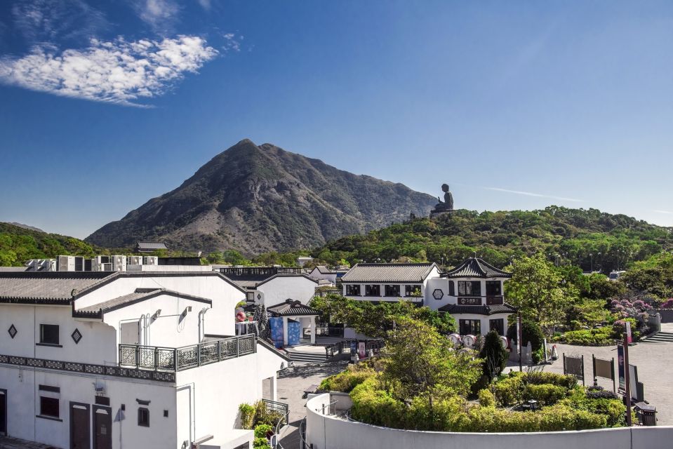 Hong Kong: Ngong Ping 360 Cable Car, Tai O & Big Buddha Tour - Dolphin watch on the Tai O boat: plan for chances, not guarantees