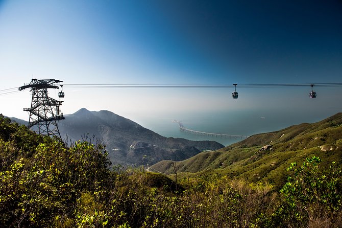 Lantau HK Guided Tour - Cable Car, Tai O, Big Buddha, Monastery - The Crystal Cabin Choice: Heights, Seats, and Sanity