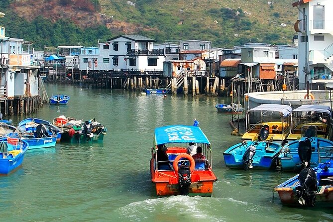 Lantau Island Tour: Big Buddha & Tai O Fishing Village - Tai O Fishing Village: Stilts, Fishballs, and Boat Time With Dolphin Hope