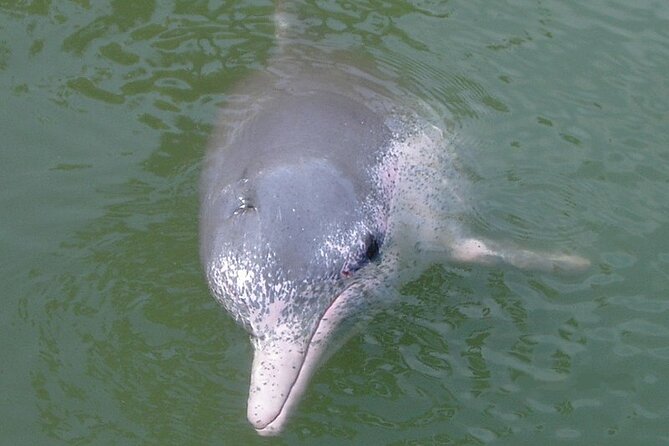 Lantau Island Tour: Big Buddha & Tai O Fishing Village - Guide Impact: Why People Keep Mentioning Grace, Ben, and Angela