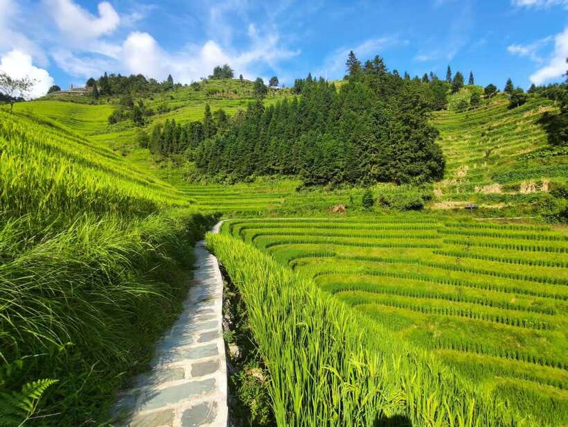 Longji Rice Terraces: Full-Day Private Tour from Guilin - Getting Picked Up in Guilin or Yangshuo (and Why It Changes the Day)