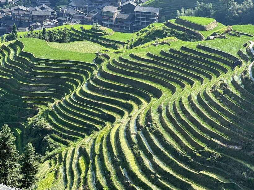 Longji Rice Terraces: Full-Day Private Tour from Guilin - Dazhai Village and Terrace Viewpoints You Can Actually Enjoy