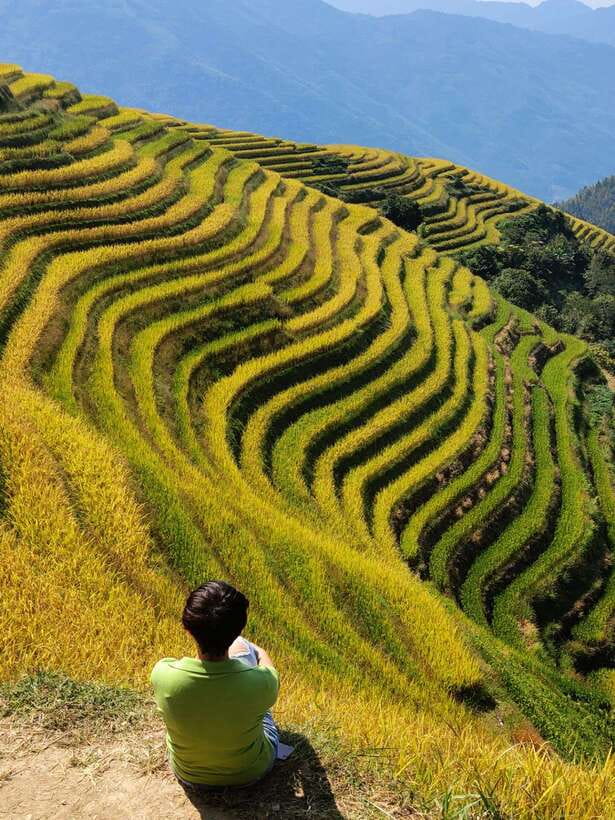 Longji Rice Terraces: Full-Day Private Tour from Guilin - Lunch Plans and What to Expect Between Stops