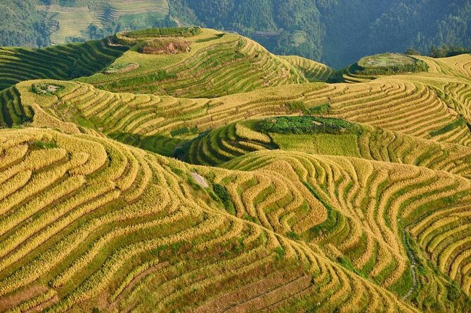 Longji rice terraces & minority villages private day tour - Key things to know before you go
