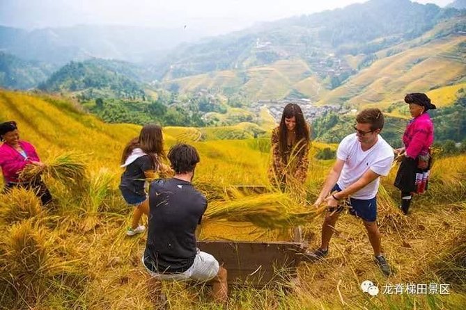 Longji rice terraces & minority villages private day tour - Longji Rice Terraces time: what to expect at Ping An