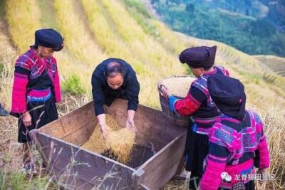 Longji rice terraces & minority villages private day tour - Private car pickup and the 10-hour reality check