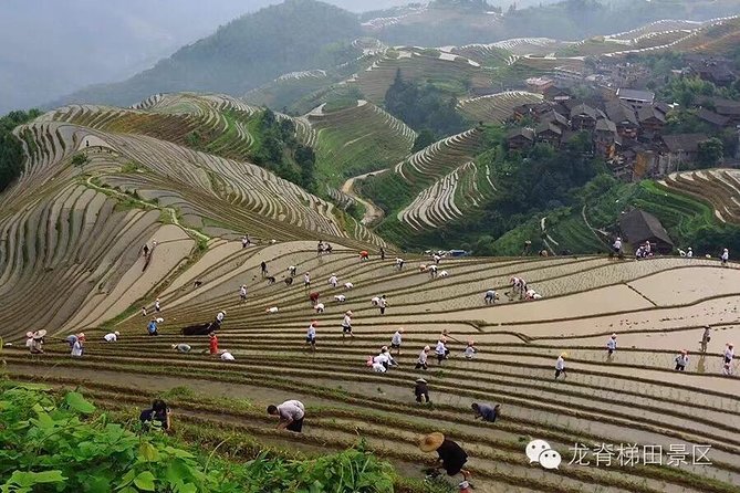 Longji rice terraces & minority villages private day tour - What to bring for a terrace day in the mountains