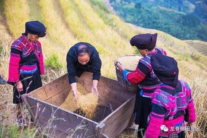 Longji rice terraces & minority villages private day tour - Private car pickup and the 10-hour reality check