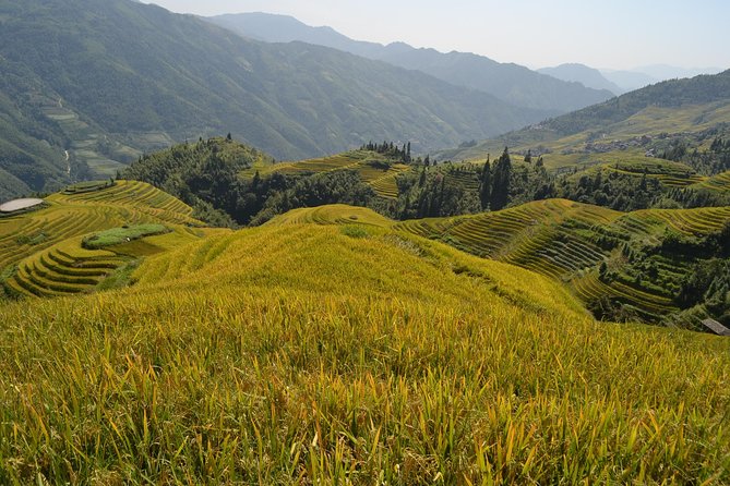 Longji Rice Terraces with Minority Village Private Day Tour - Guilin pickup and “your day starts now” logistics