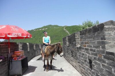 Mutianyu Great Wall and Summer Palace Private Day Trip with Lunch - Mutianyu Great Wall: The Restored Section With Cable Lift Options and Real Views