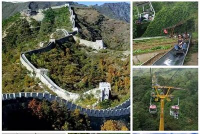 Mutianyu Great Wall Private Tour with Best English Speak Driver - Inside the schedule: how the 6 to 8 hours really breaks down