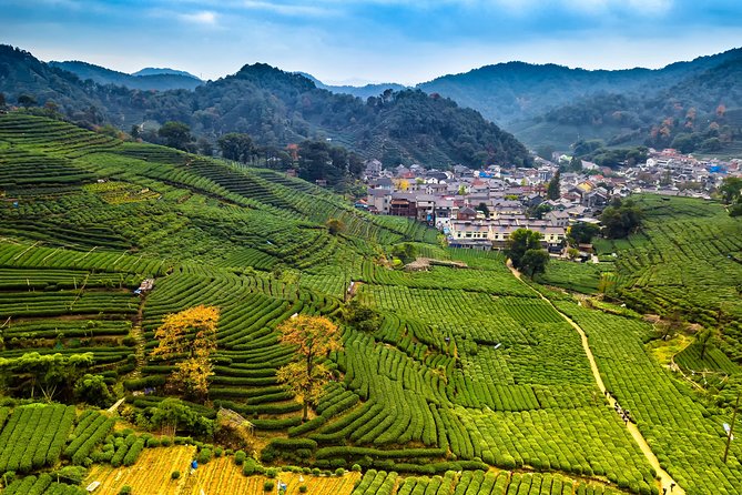One-Day Hangzhou Dragon Well Tea Culture & West Lake Private Tour - Why this Hangzhou Longjing and West Lake combo works