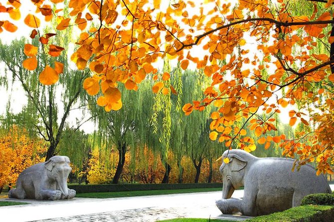 Private Beijing Day Trip: Mutianyu Great Wall and Ming Tombs - The 8:00am start: how the drive and timing work