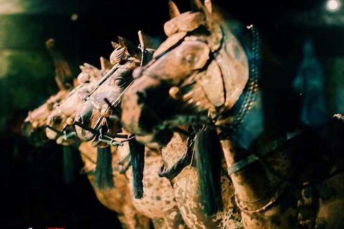 Private Half-Day Tour of Xi'an Terracotta Warriors - Price and Value: Does $145 Make Sense for a Private Tour?