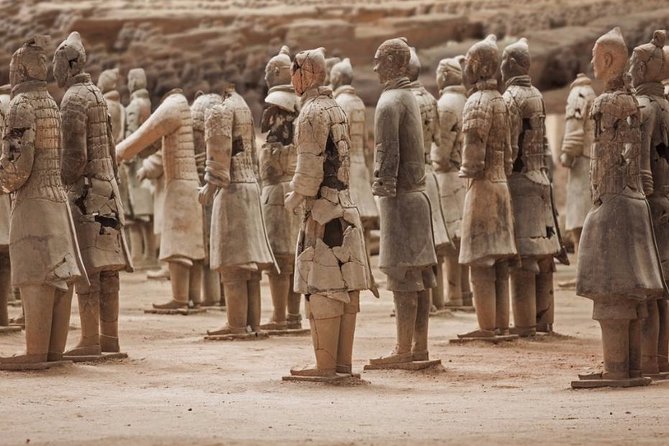 Private Xian Day Tour: Terracotta Warriors, Big Wild Goose Pagoda - Stop 2: Big Wild Goose Pagoda (Dayanta) after lunch, when Tang culture takes the stage