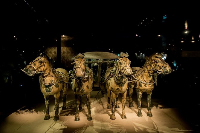 Private Xian Day Tour: Terracotta Warriors, Big Wild Goose Pagoda - Guides you might meet: what good pacing looks like on this tour