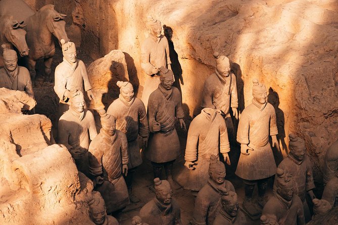 Private Xian Day Tour: Terracotta Warriors, Big Wild Goose Pagoda - Price and value: what $127 per person buys you in Xi’an