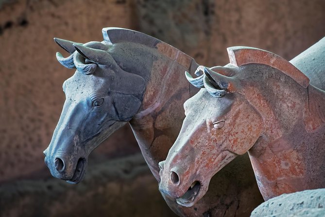 Private Xi'an Tour: Terracotta Warriors, Hanyangling Museum, Cave Homes - Price and Value: Why $175 Can Make Sense for a Full-Day Private Plan